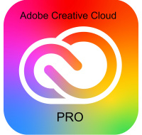 Adobe Creative Cloud Pro PLUS for teams MP ML (+CZ) Government 1 User, 12 Months, Level 4, 100+ Lic