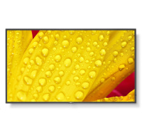 SHARP/NEC LFD 65" MultiSync M651-2, IPS, 3840x2160, 500nit, 8000:1, 8ms, 24/7, DP, HDMI, LAN, USB, Mediaplayer