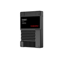 SanDisk Carrera Syndicate SSD 3.84TB DC, SN861, PCIe Gen5, (R:13700, W:7200MB/s), BICS6 TLC NVMe U.2, TCG Opal,Generic