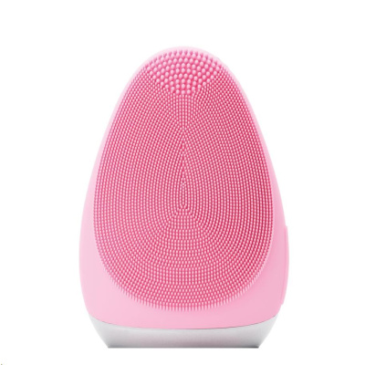 Tesla Cleaning Face Brush