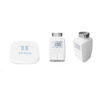 Tesla Smart Bundle Basic 2 (2x Valve + Hub)